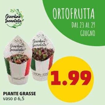 PENNY Piante Grasse Vaso ø 6,5 offerta