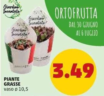 PENNY Piante Grasse vaso ø 10,5 offerta