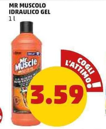 PENNY Mr Muscolo Idraulico Gel 1 l offerta