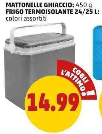 Frigo termoisolante 24/25 l