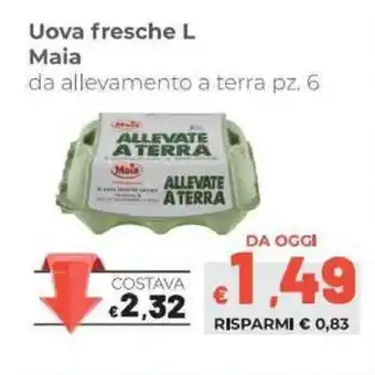 Coop Maia Uovo fresche L 6pz. offerta