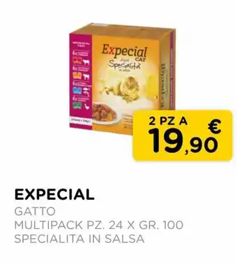 Expecial Gatto Multipack 24 pz. x 100 gr. specialita in salsa