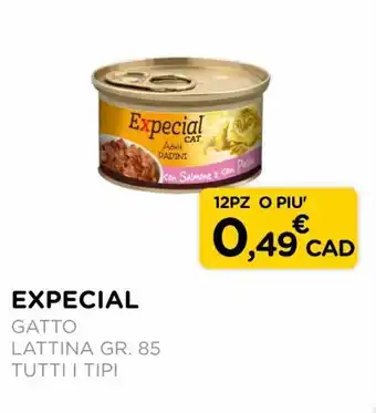 Arcaplanet Expecial Gatto lattina 85 gr. tutti i tipi offerta