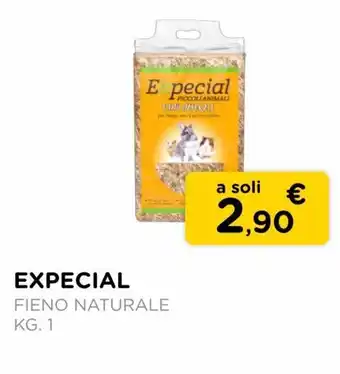 Arcaplanet Expecial Fieno naturale 1 kg offerta