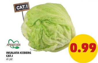 PENNY Amonatura Insalata Iceberg Cat. I offerta