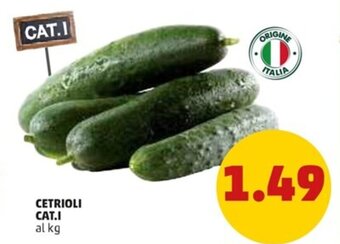 PENNY Cetrioli Cat. I offerta