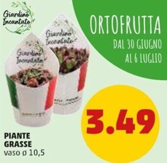 PENNY Piante Grasse vaso ø 10,5 offerta
