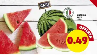 PENNY Anguria Cat.l offerta