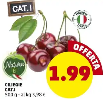 PENNY Ciliegie Cat.l 500g offerta