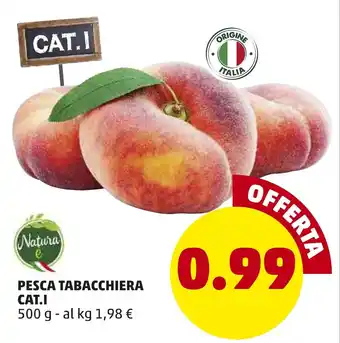 PENNY Natura e Pesca Tabacchiera Cat.l 500g offerta