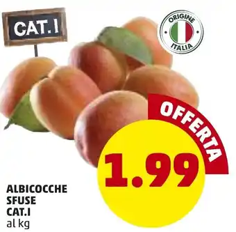 PENNY Albicocche Sfuse Cat.l offerta