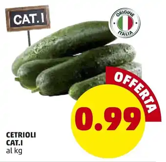 PENNY Cetrioli Cat.l offerta