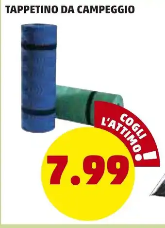 PENNY Tappetino da Campeggio offerta