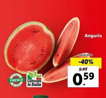 Lidl Anguria offerta