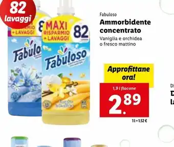 Lidl Ammorbidente concentrato fabuloso 1,9l offerta