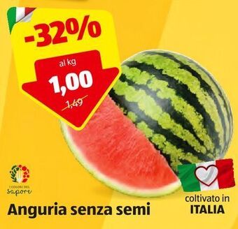 ALDI Anguria senza semi offerta