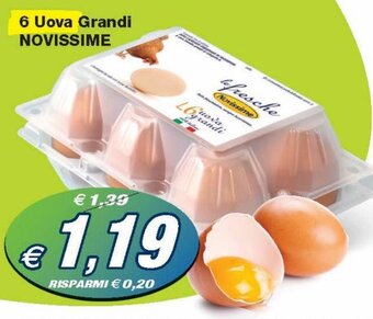 Novissime 6 Uova Grandi
