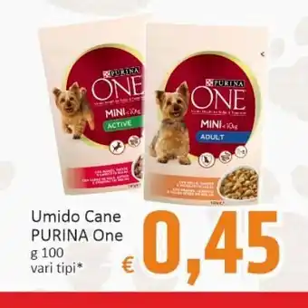 Paghi Poco Umido cane purina one g 100 vari tipi* ‘ offerta