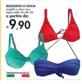 Reggiseno o fascia