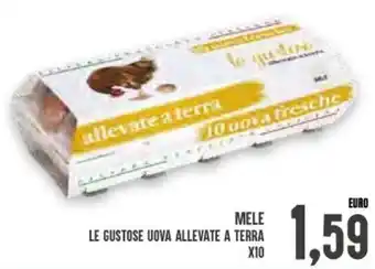 Mele Le Gustose Uova Allevate A Terra X10