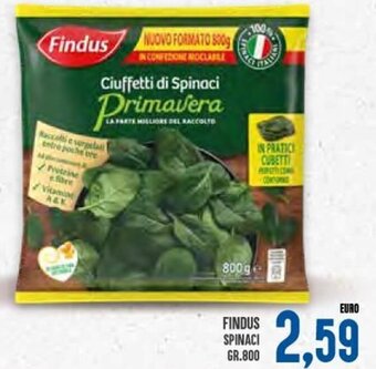 Findus Spinaci gr.800
