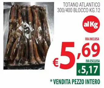 Totano Atlantico 300/400 Blocco 12 kg