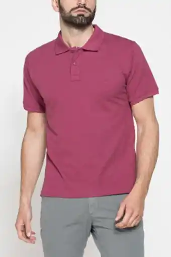 Globo Moda Carrera - polo manica corta piquet aloe offerta
