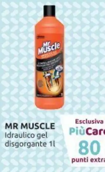Ipersoap Mr Muscle Idraulico gel disgorgante 1l offerta