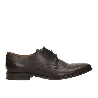 Derby - ms-311r01