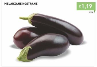 Prezzemolo e Vitale Melanzane Nostrane offerta