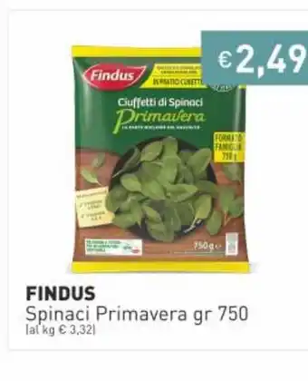 Prezzemolo e Vitale Findus Spinaci Primavera gr 750 offerta
