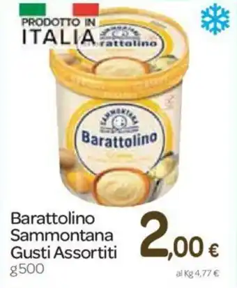 Carrefour Sammontana Barattolino Gusti Assortiti 500g offerta