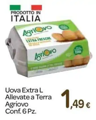 Carrefour Agriovo Uova Extra L Allevate a Terra 6pz. offerta