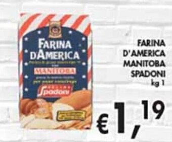 èccoMI Spadoni Farina D'America Manitoba kg 1 offerta