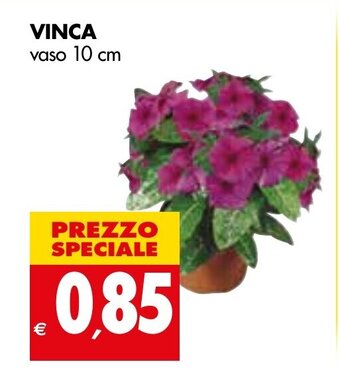 Tigros Vinca vaso 10 cm offerta