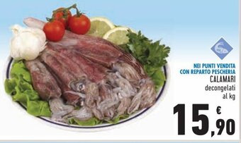 Conad Calamari decongelati offerta