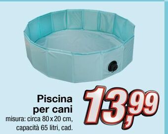 Piscina per cani