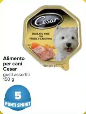 Carrefour Cesar Alimento per cani 150g offerta