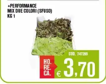 + performance mix due colori (sfuso)