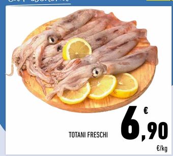 Conad Totani freschi offerta