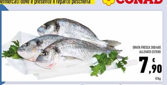 Conad Orata fresca 300/400 allevato estero offerta