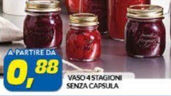 Risparmio Casa Vaso 4 Stagioni Senza Capsula offerta