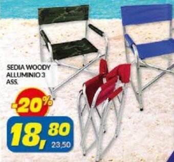 Risparmio Casa Sedia Woody Alluminio 3 ass. offerta