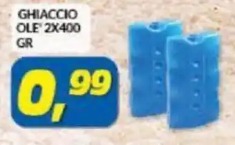 Risparmio Casa Ghiaccio Ole 2x400 gr offerta
