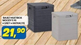Risparmio Casa Baule Multibox Woody's 90 grey/antracite offerta