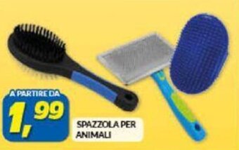 Risparmio Casa Spazzola per Animali offerta