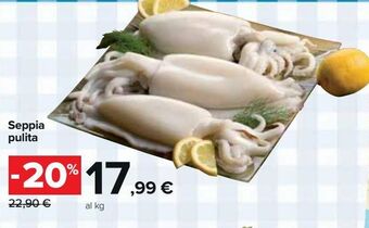 Seppia pulita