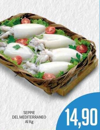 Supermercati Piccolo Seppie Del Mediterraneo offerta