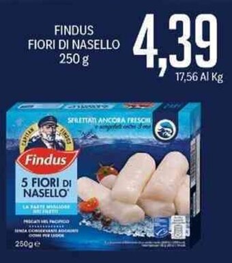 Supermercati Piccolo Findus Fiori Di Nasello 250 g offerta