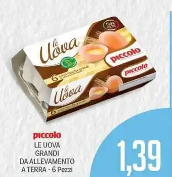 Supermercati Piccolo Piccolo Le Uova Grandi Da Allevamento a Terra 6 Pezzi offerta